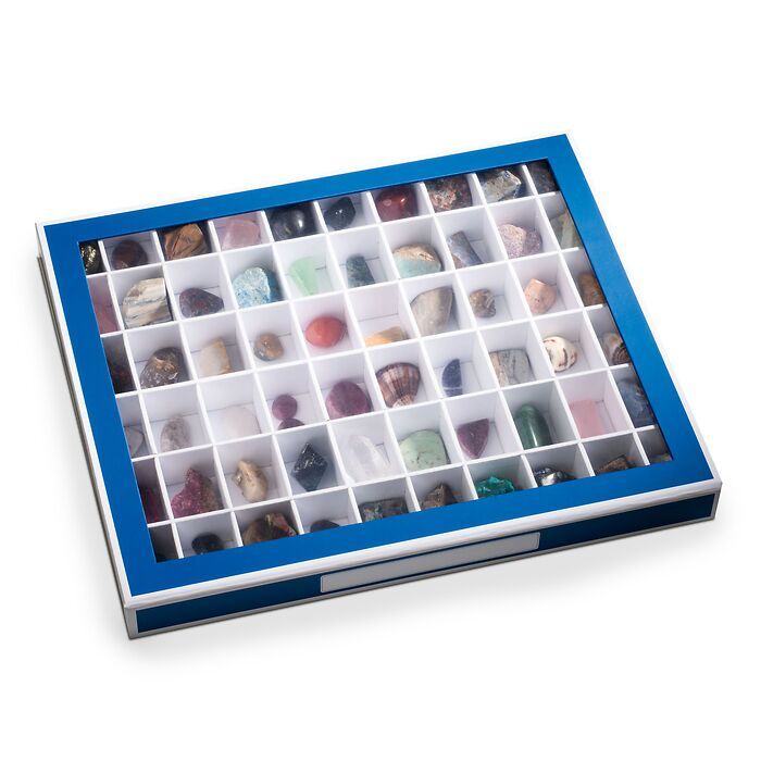 Showroom caja de coleccionismo con 60 compartimientos, azul